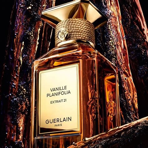 guerlain vanille planifolia extract.